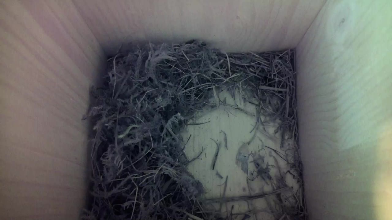 Aufnahme aus dem Vogelhaus