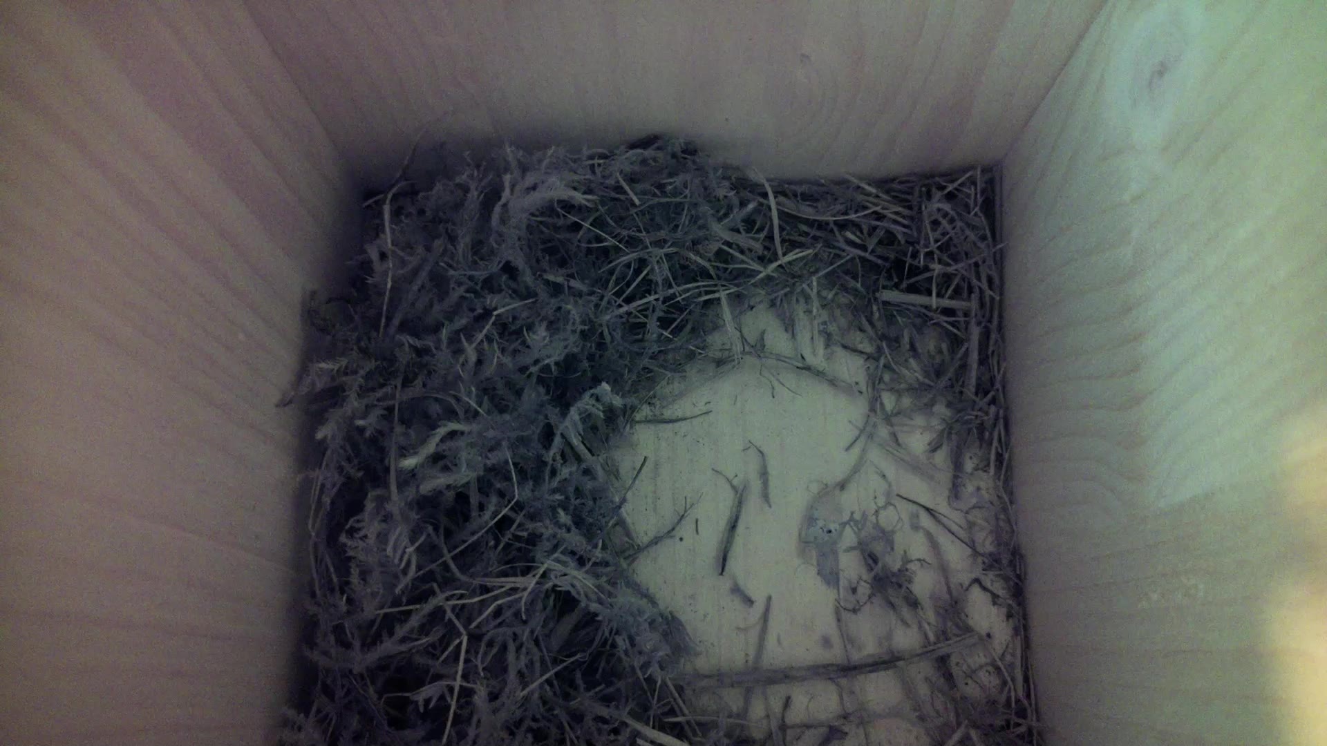 Aufnahme aus dem Vogelhaus