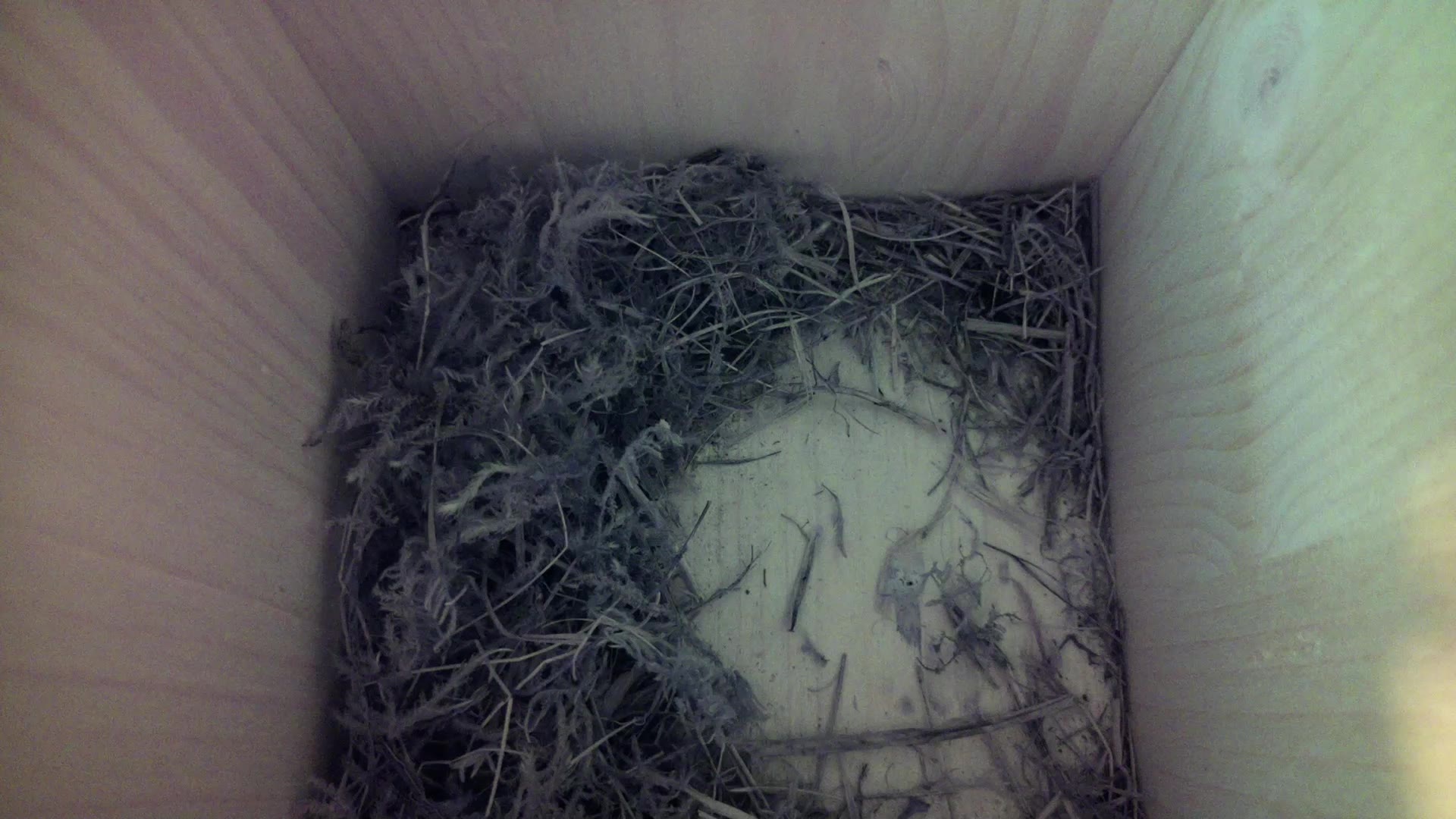 Aufnahme aus dem Vogelhaus