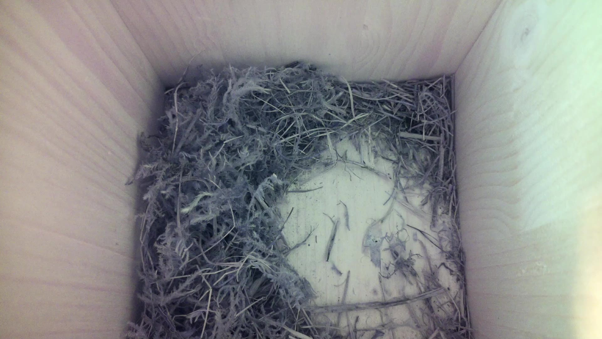 Aufnahme aus dem Vogelhaus