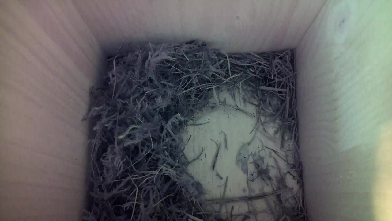 Aufnahme aus dem Vogelhaus