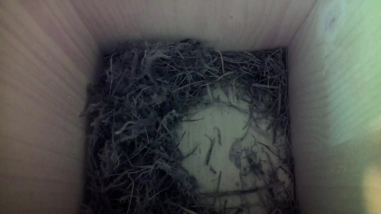 Aufnahme aus dem Vogelhaus