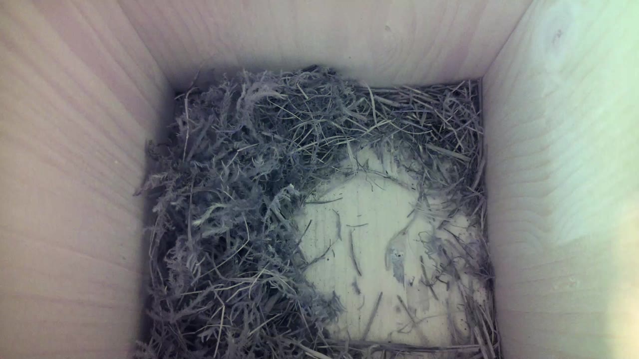 Aufnahme aus dem Vogelhaus