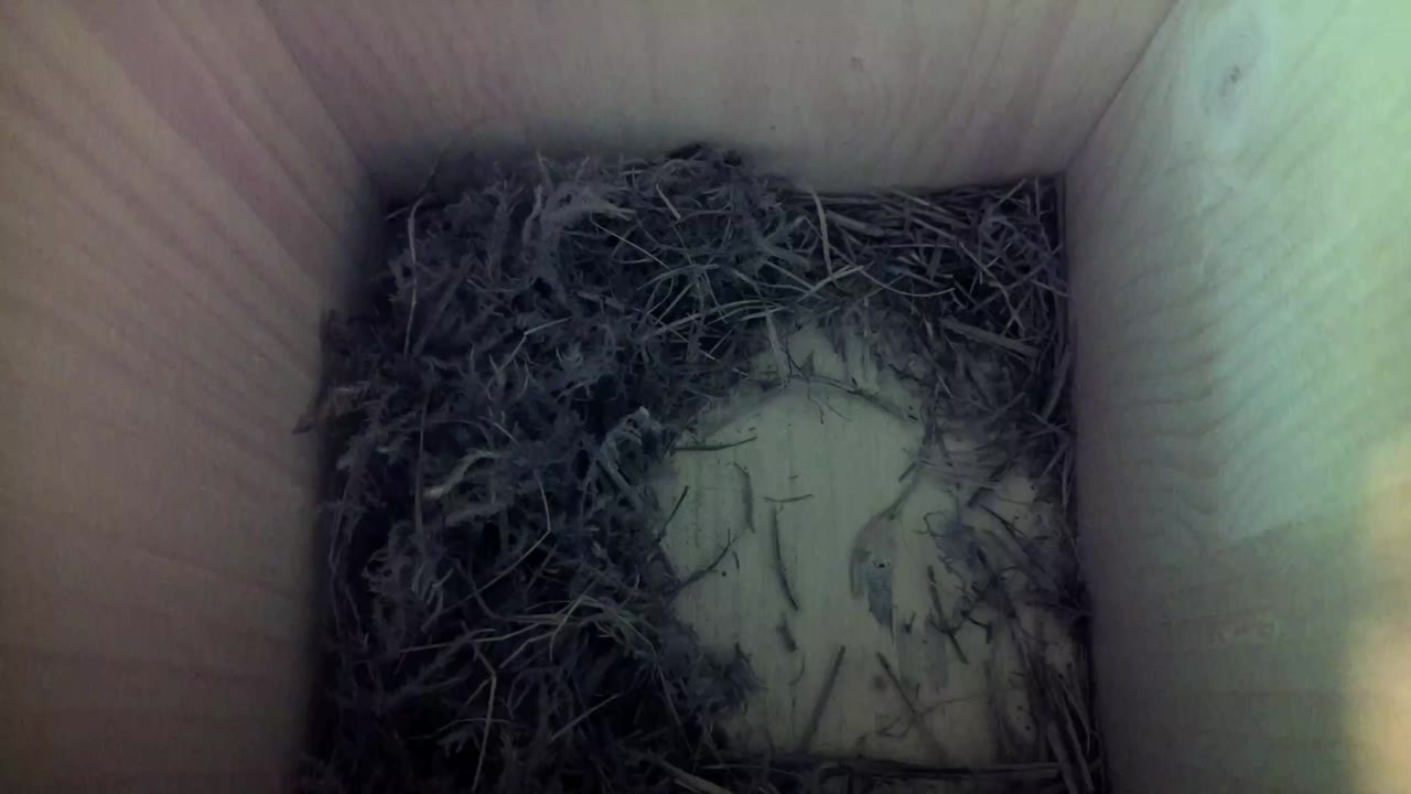 Aufnahme aus dem Vogelhaus
