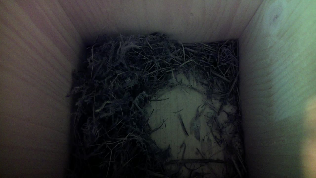 Aufnahme aus dem Vogelhaus
