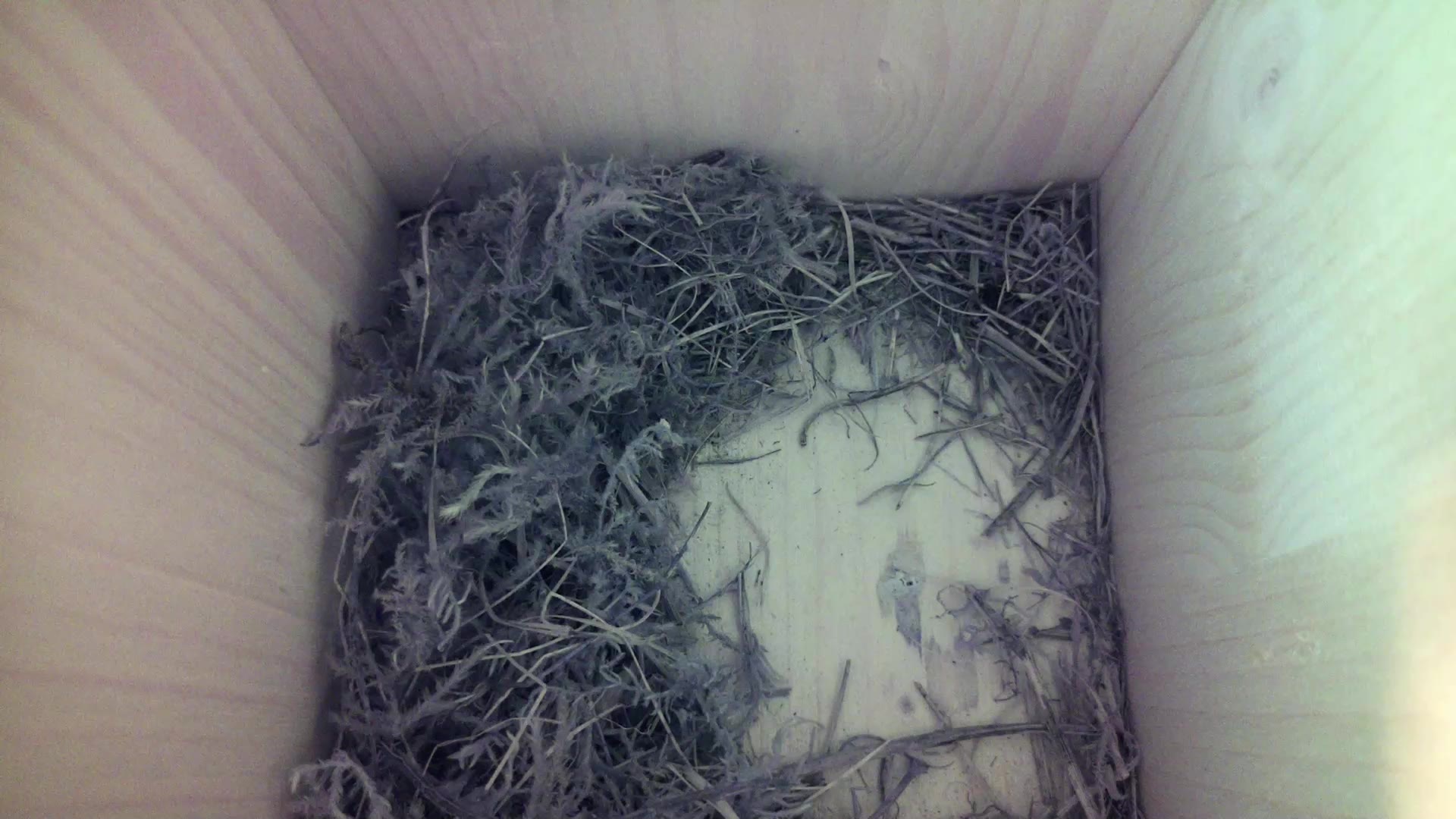 Aufnahme aus dem Vogelhaus