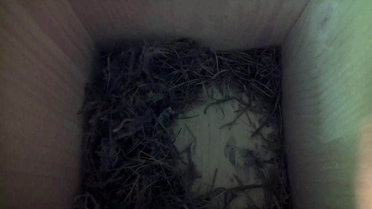 Aufnahme aus dem Vogelhaus