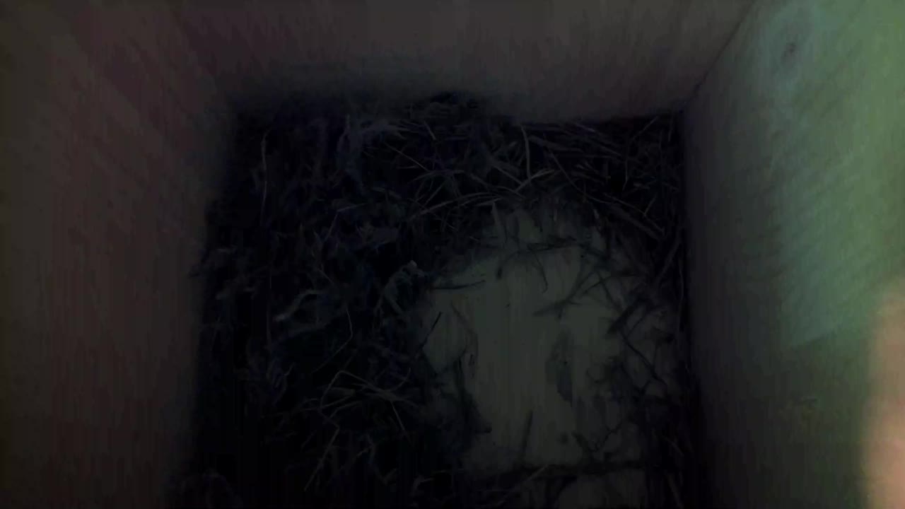 Aufnahme aus dem Vogelhaus