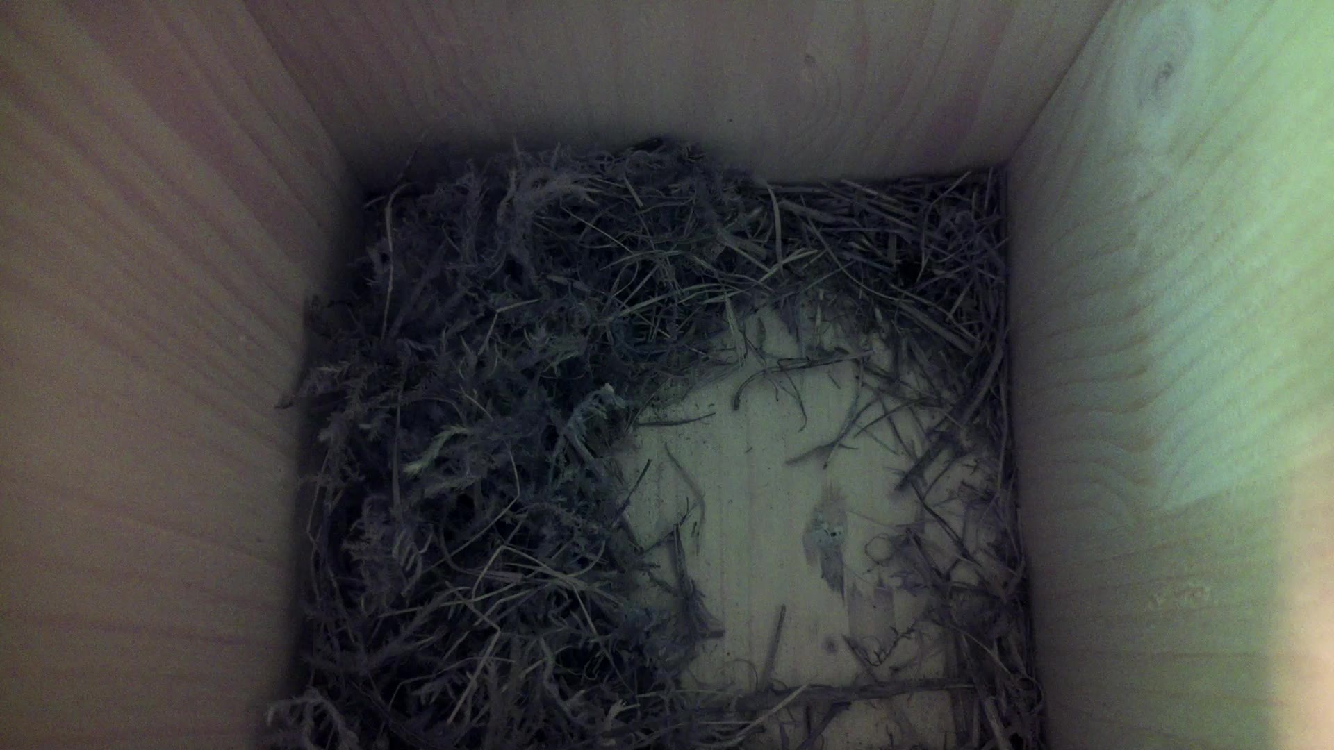 Aufnahme aus dem Vogelhaus