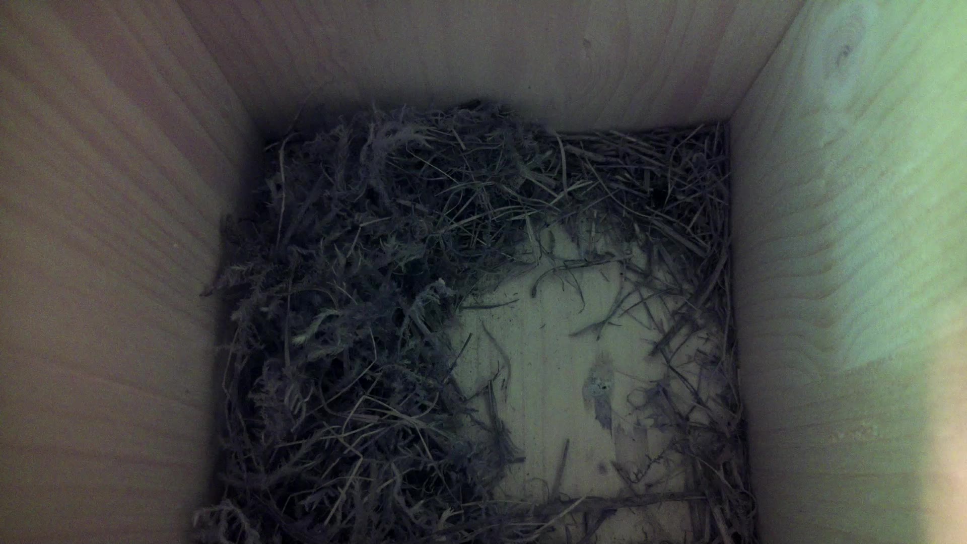 Aufnahme aus dem Vogelhaus