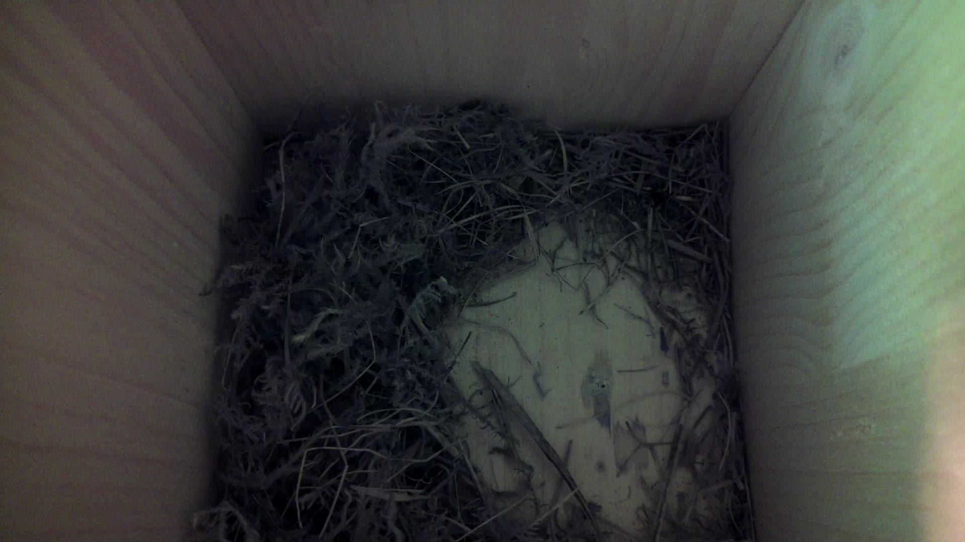 Aufnahme aus dem Vogelhaus