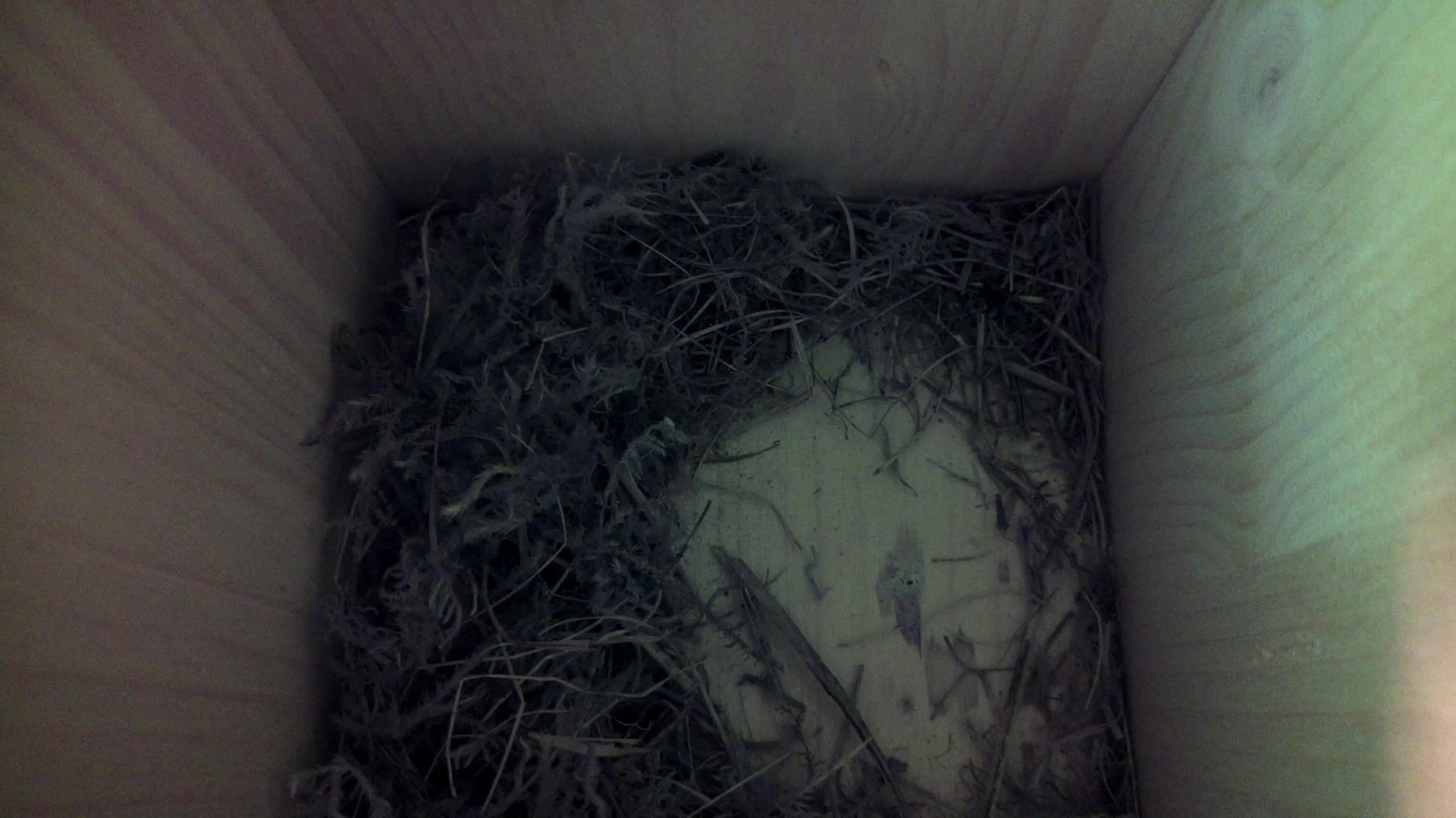 Aufnahme aus dem Vogelhaus