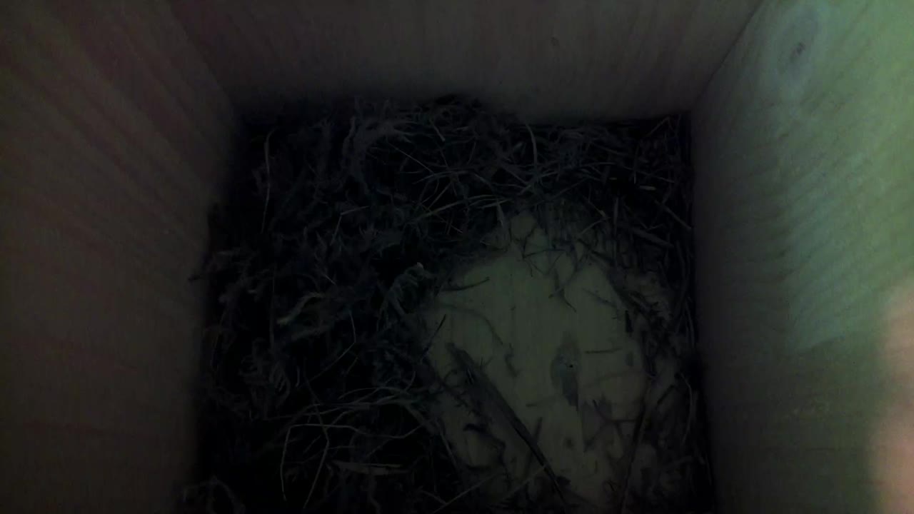 Aufnahme aus dem Vogelhaus