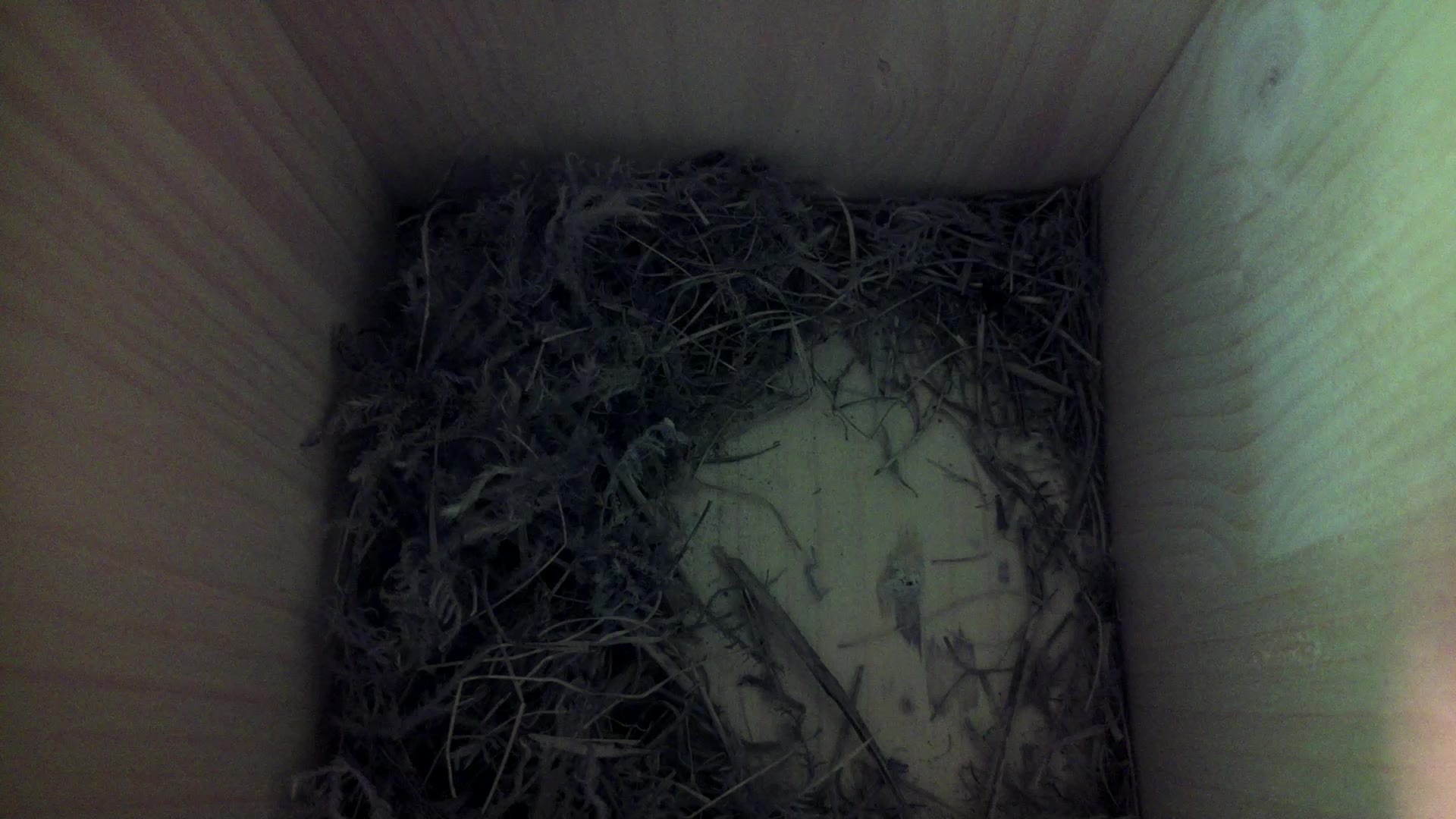 Aufnahme aus dem Vogelhaus