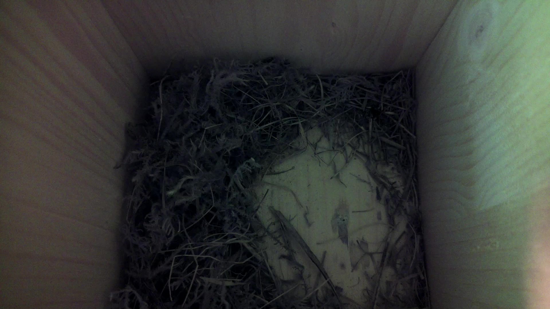 Aufnahme aus dem Vogelhaus