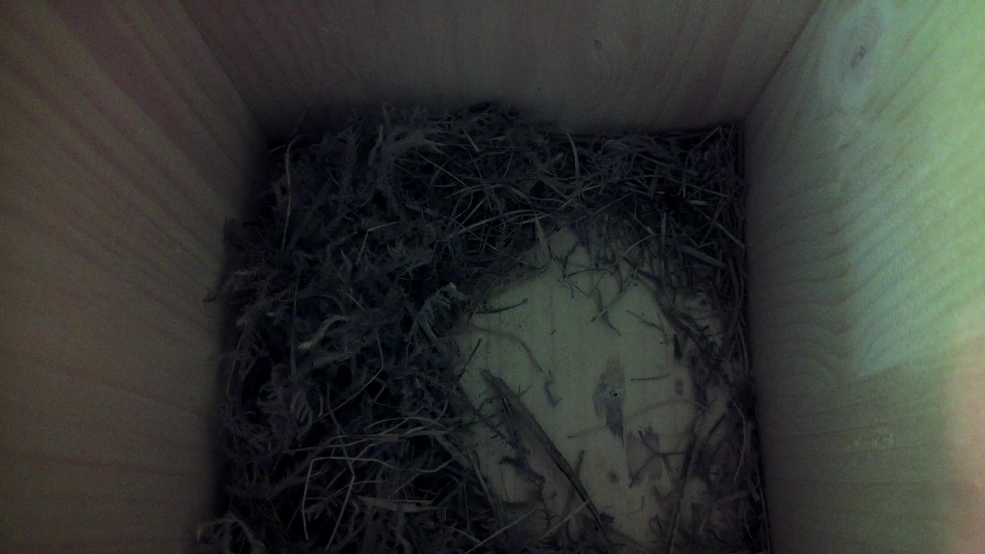 Aufnahme aus dem Vogelhaus