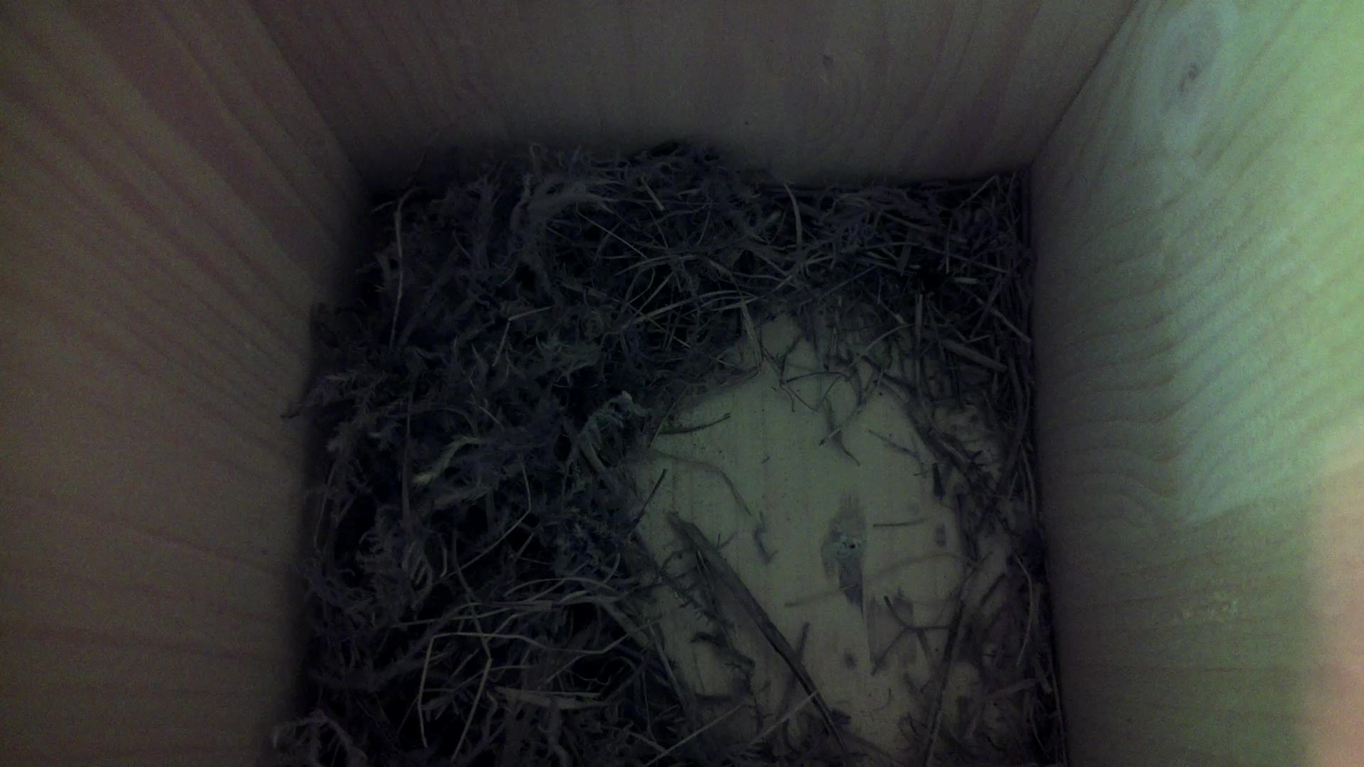 Aufnahme aus dem Vogelhaus