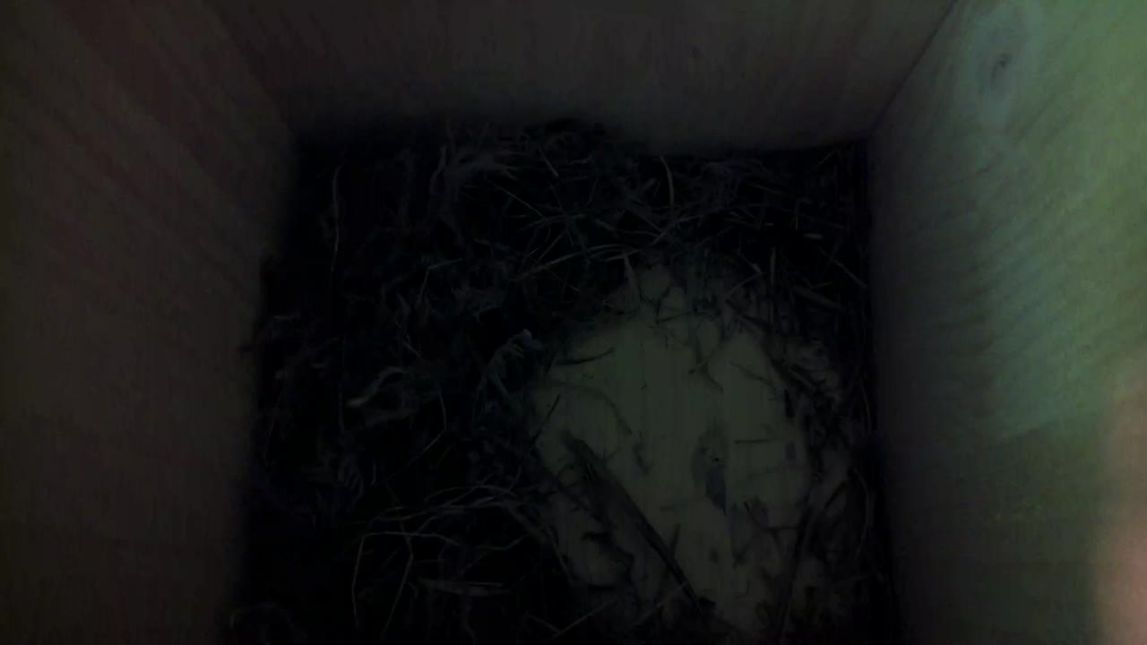 Aufnahme aus dem Vogelhaus