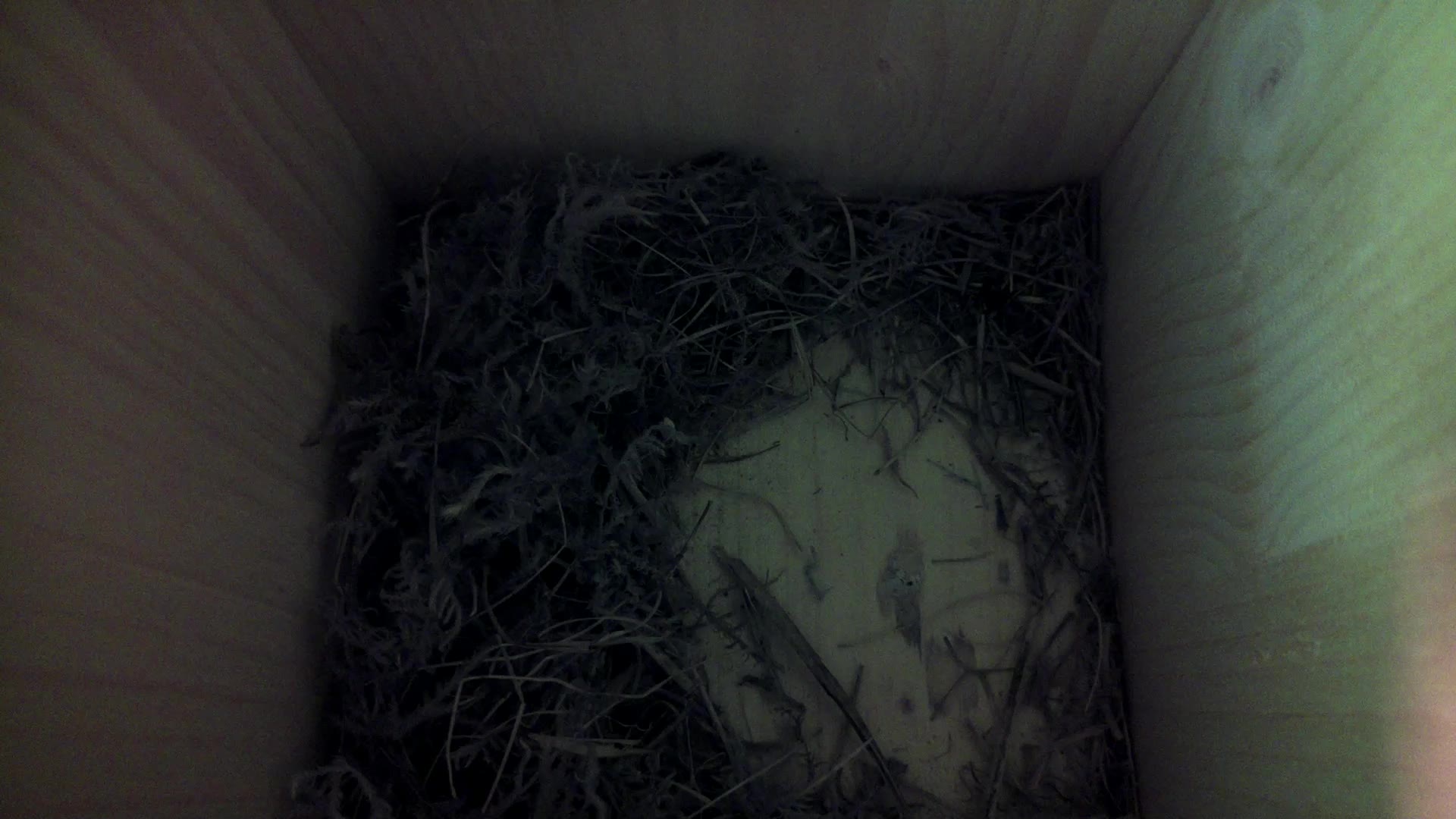 Aufnahme aus dem Vogelhaus